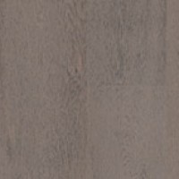 Fossile
