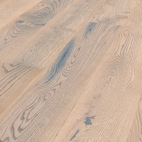 Levant Oak