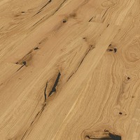 Aureola Oak