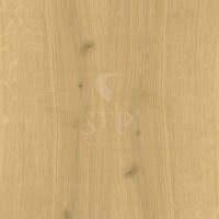 Oak Nature