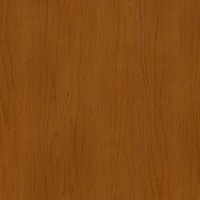 Teak Copy