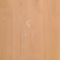 Beech Natural