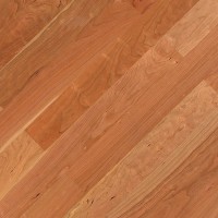 Вишня Американская Billafloor 