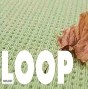 LOOP