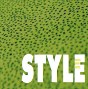 STYLE